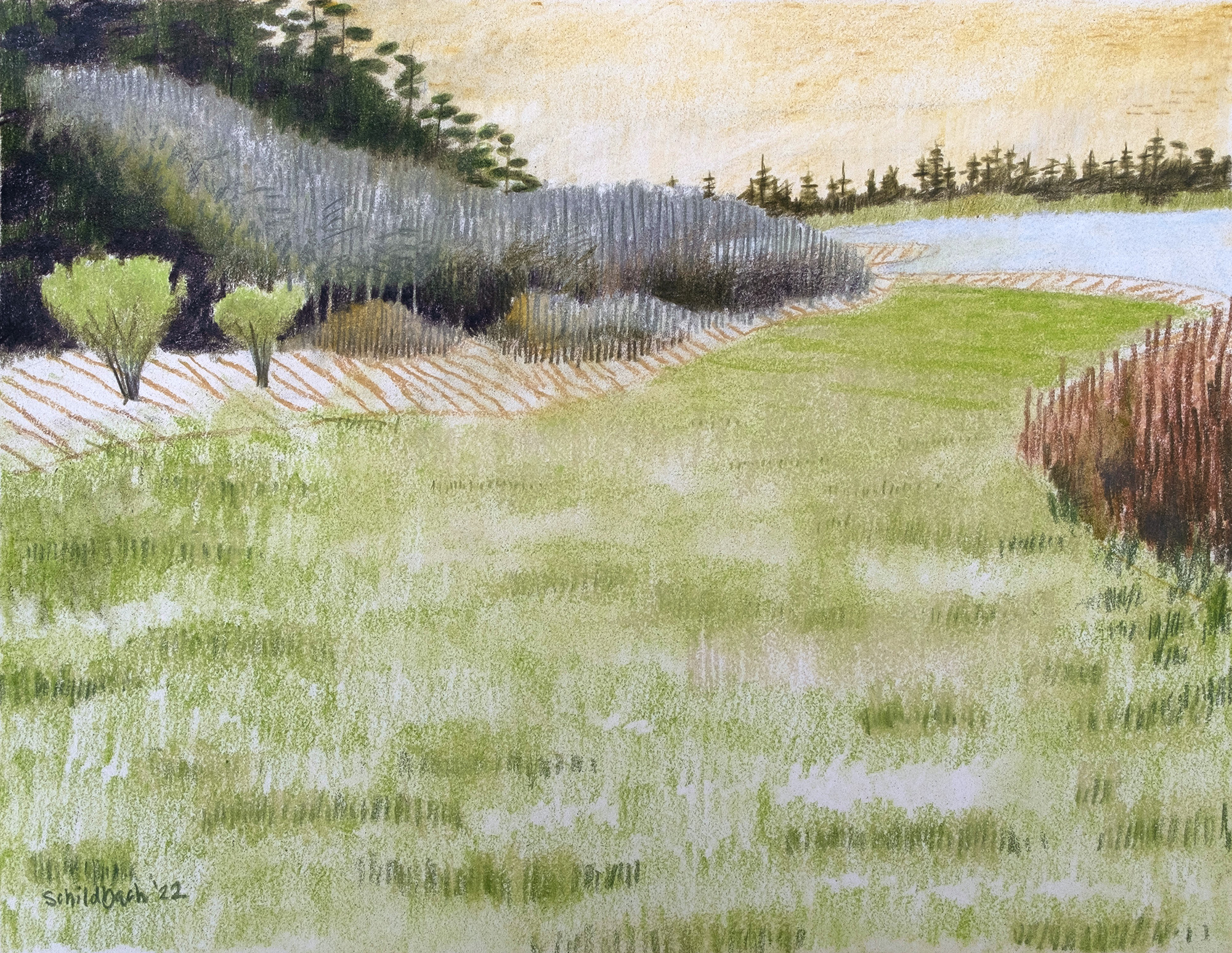 Happy Valley 2, colored pencil, pastel pencil, 11"x14", 2022