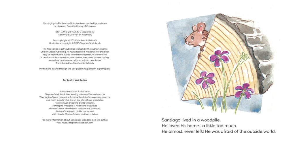 Santiago's Woodpile - How to self publish a children's book