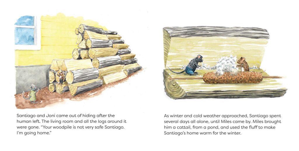 Santiago's Woodpile - How to self publish a children's book