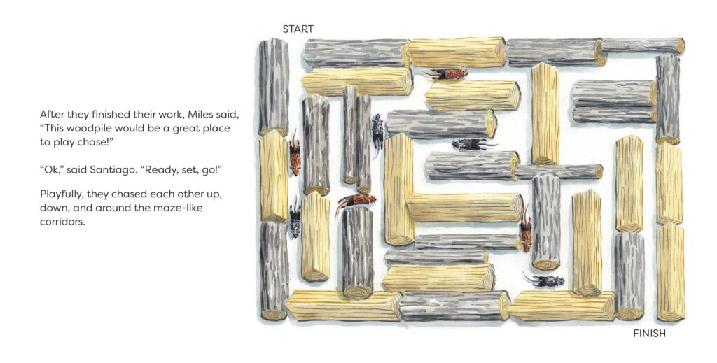 Santiago's Woodpile - How to self publish a children's book